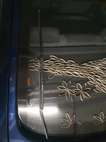 IMG_20250611_204122