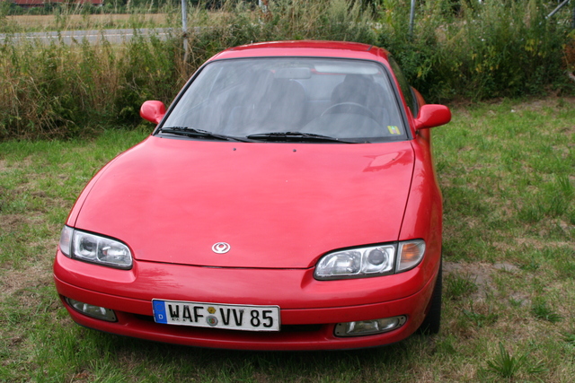 img1195kp8.jpg